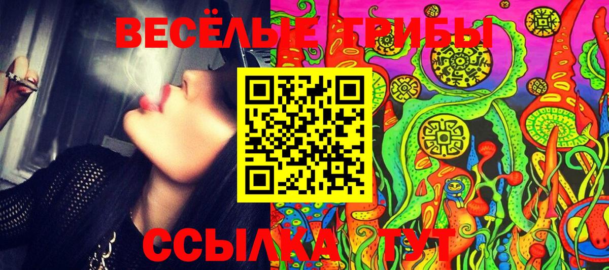 Псилоцибиновые грибы Psilocybe  Вход с VPN  Галлюциногенные грибы прущие грибы  Томск 