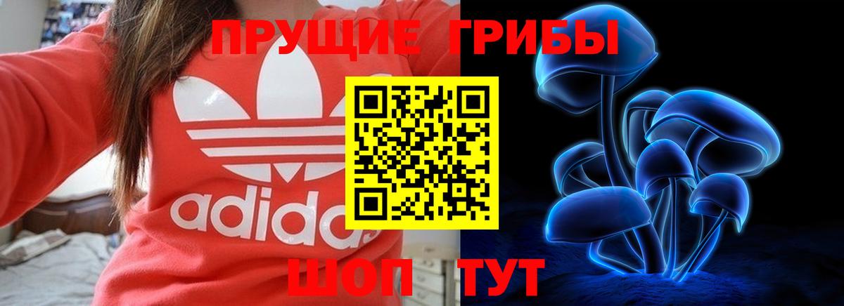 Галлюциногенные грибы Cubensis Томск
